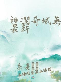 神澜奇域无双珠最新