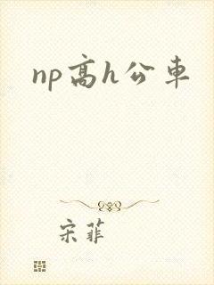 np高h公车