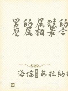 男的属猴的和什么属相最合适