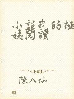 小说我的极品小姨阅读