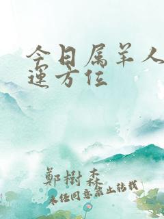 今日属羊人的财运方位