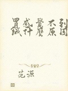 胃感觉不到肚子饿什么原因呢?