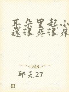 耳朵里起小疙瘩还很疼很痒怎么回事