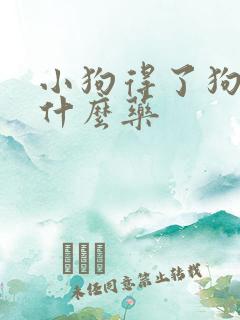 小狗得了狗瘟吃什么药