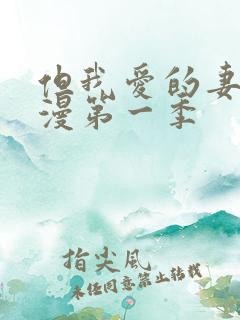 但我爱的妻子动漫第一季