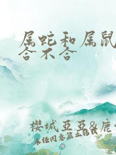 属蛇和属鼠工作合不合