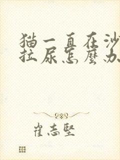 猫一直在沙发上拉尿怎么办