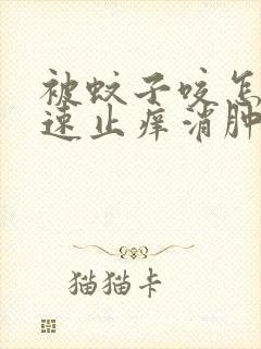 被蚊子咬怎么快速止痒消肿