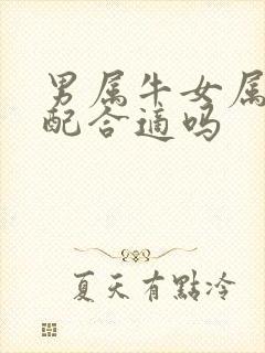 男属牛女属虎婚配合适吗