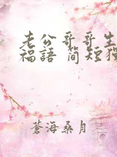 老公哥哥生日祝福语 简短独特