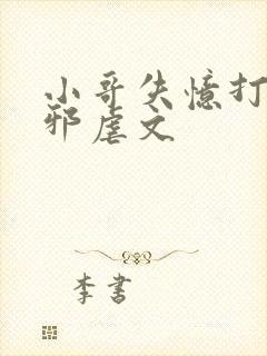 小哥失忆打伤吴邪虐文