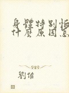 身体特别怕冷是什么原因怎么调理