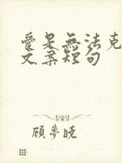 爱是无法克制的文案短句