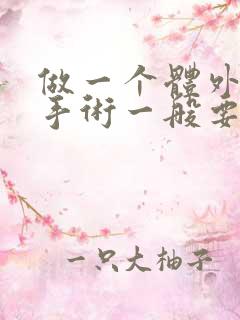 做一个体外碎石手术一般要多少钱