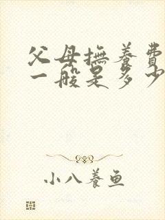 父母抚养费标准一般是多少钱一个月