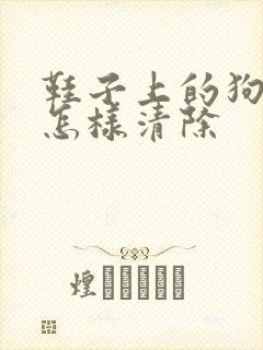 鞋子上的狗尿味怎样清除