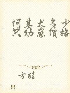 柯基犬多少钱一只幼崽价格