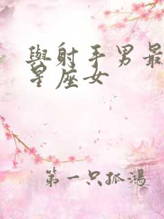 与射手男最配的星座女