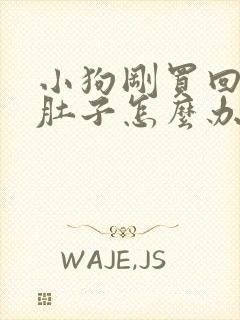 小狗刚买回来拉肚子怎么办