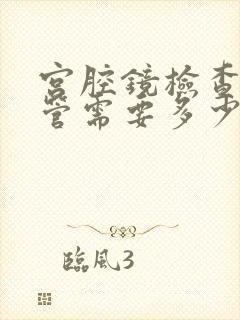 宫腔镜检查输卵管需要多少钱