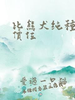 比熊犬纯种什么价位