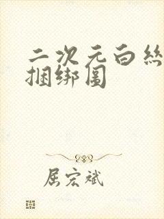 二次元白丝绳艺捆绑图