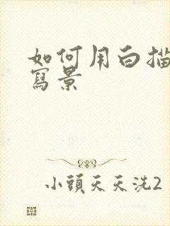 如何用白描手法写景