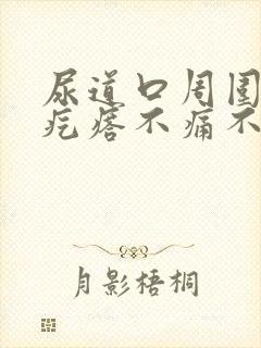 尿道口周围有小疙瘩不痛不痒