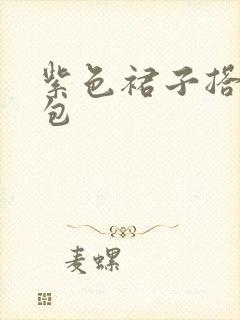 紫色裙子搭什么包