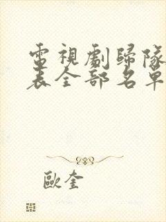 电视剧归队演员表全部名单