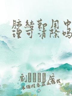 肺结节用中药调理可消除吗