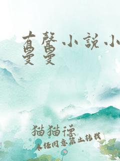 有声小说小苮儿曼曼