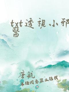 txt透视小邪医
