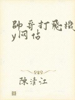 帅哥打飞机gay网站