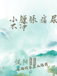 小腹胀痛尿频尿不净