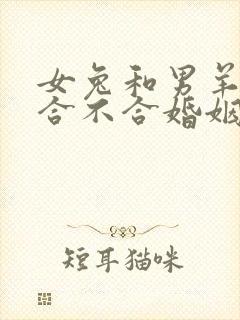 女兔和男羊属相合不合婚姻