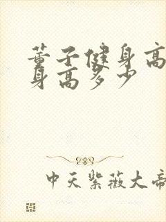 董子健身高真实身高多少