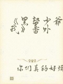 《黑帮少爷爱上我》番外