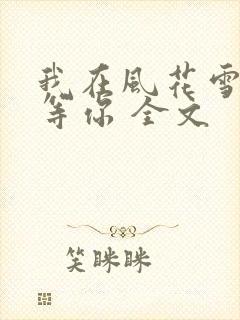 我在风花雪月里等你 全文