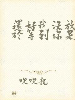 还好我没放弃终于等到你是什么歌