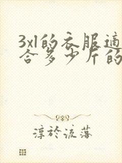 3xl的衣服适合多少斤的人穿