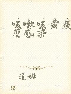 咳嗽咳黄痰是什么感染