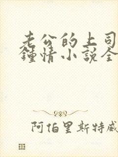 老公的上司一见钟情小说全文免费阅读