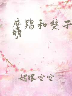 摩羯和双子谁聪明