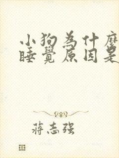 小狗为什么老是睡觉原因是什么