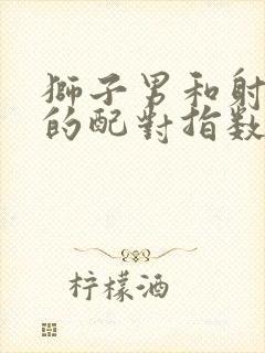 狮子男和射手女的配对指数