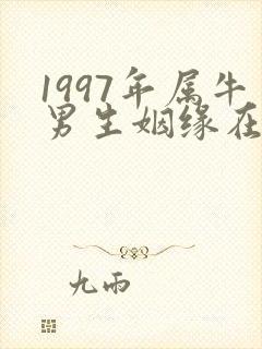 1997年属牛男生姻缘在哪年