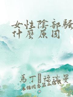 女性阴部骚痒是什么原因