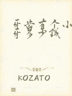 牙齿有个小洞补牙多少钱