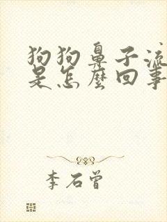 狗狗鼻子流鼻涕是怎么回事